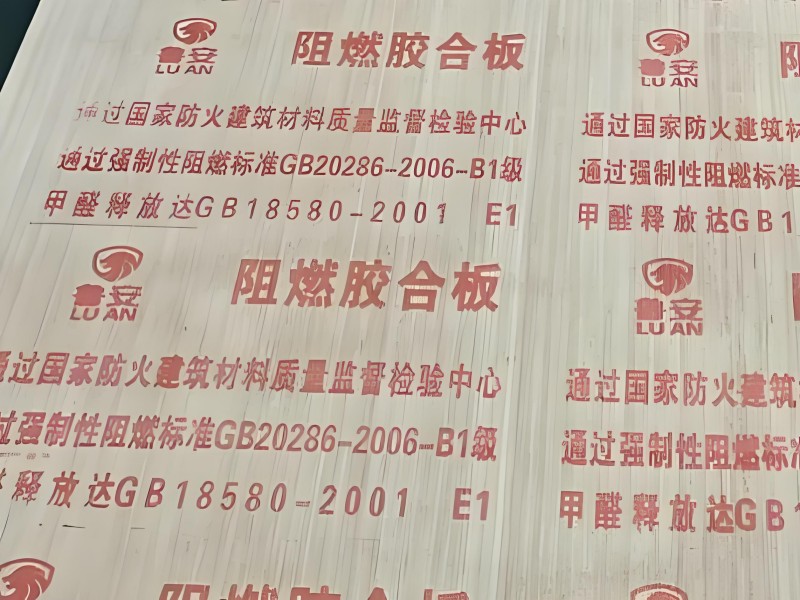 1740455706144751.jpg